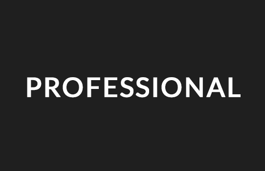 2 - Professional